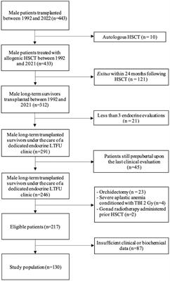 Pubertal attainment and Leydig cell function following pediatric hematopoietic stem cell transplantation: a three-decade longitudinal assessment